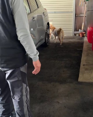 するりと逃げて…