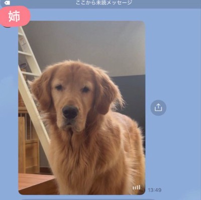 仕事