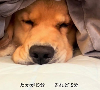 「まだ許してませんけど？」