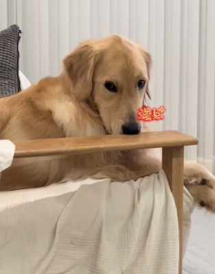 「ねぇ、遊ぼう？」