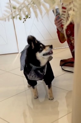 笑顔のラックくん