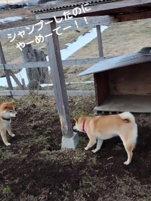 全力の泥遊び