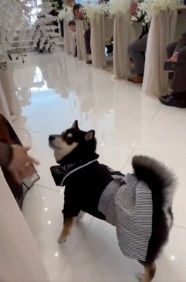 神対応のラックくん