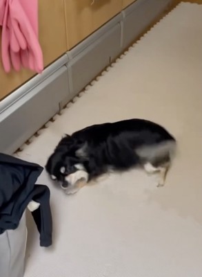 さまざまな技を駆使