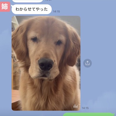 しょんぼり