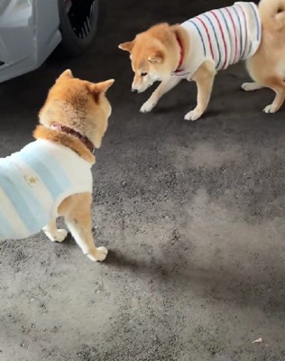 途中で休憩する余裕も♪