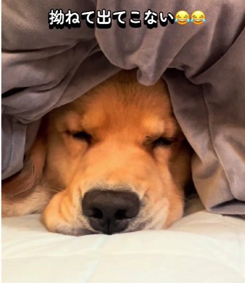 ふて寝モードに突入！？