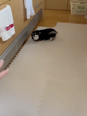横向きのほふく前進状態