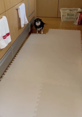 ここから先は、入ってはいけない場所