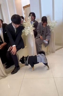 においを嗅ぐラックくん