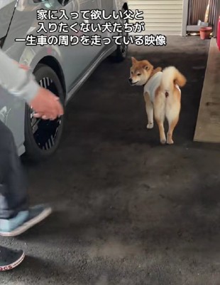 いたずら顔で煽ることも