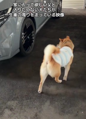 「やだよ～」