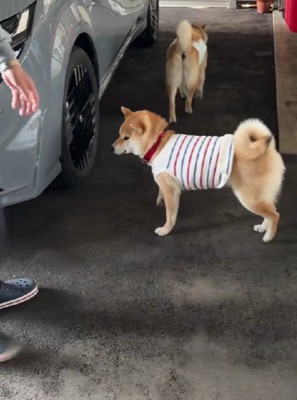 「きたきた！！」