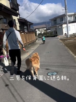 道を進む犬と男の子
