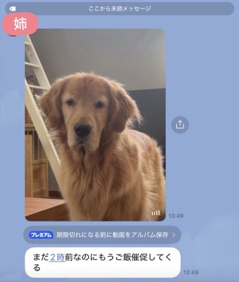 ピケくん