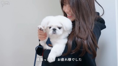 手を振るもち太くん