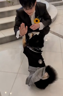 タッチするラックくん