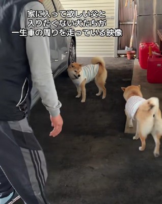 まるで鬼ごっこ