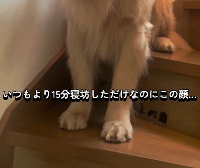 うっかり寝坊してしまった