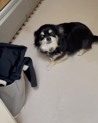 完全に侵入してます