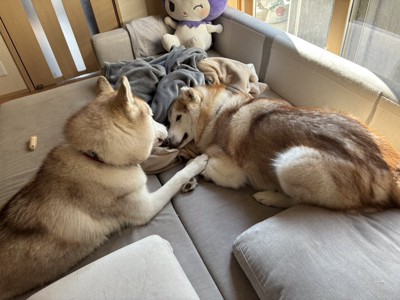 起こして