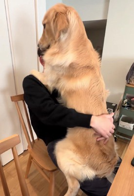 「大好き！」