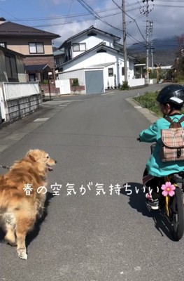 自転車の横を歩く犬
