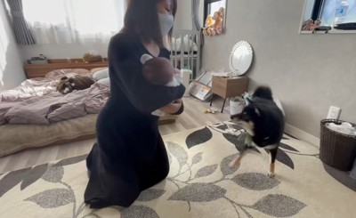 赤ちゃんに会わせたら…