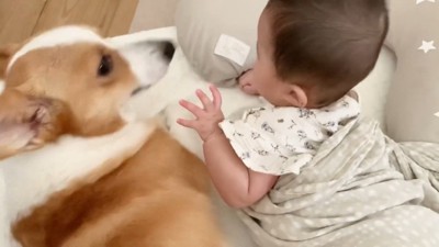 たとえ振り払われても…