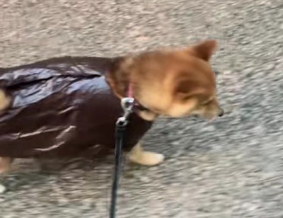 ちょっぴり不満…?