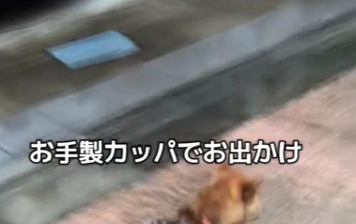 雨の日のお散歩へ