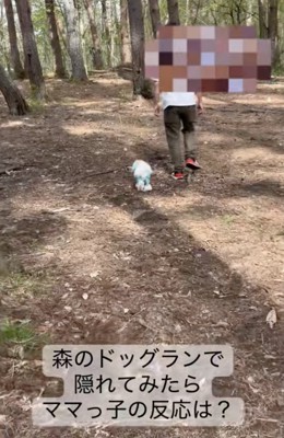 パパ、ママと一緒にドッグランへ