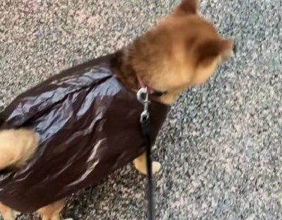 とっても似合ってる!!