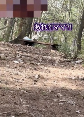 一瞬フリーズ！