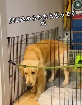 「出ちゃダメってことだよね…?」