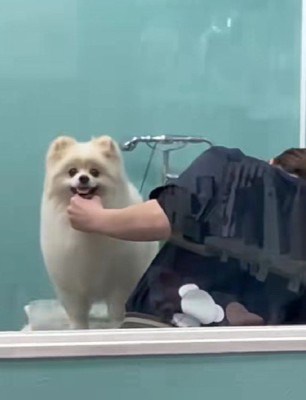 にこ〜っと笑顔