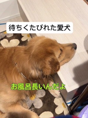 「まだ…?」