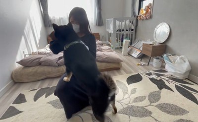 興味津々！