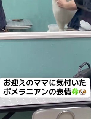 お迎えの時間になり…