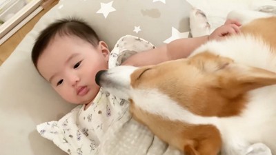 「僕がいるから寂しくないよ！」