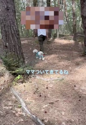 定期的に確認してくれます