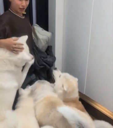 お出迎え