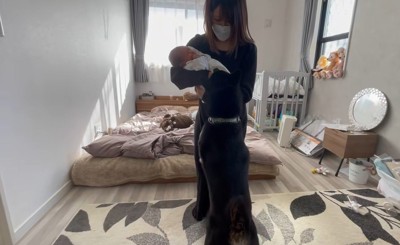 「もっと赤ちゃんを見せてよ～」