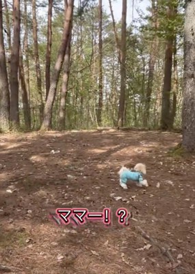 焦りが伝わってきます