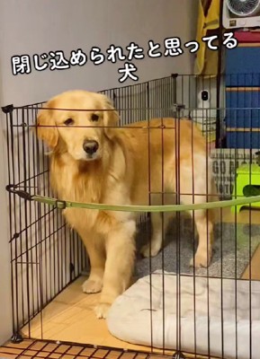 「閉じ込められた…!」