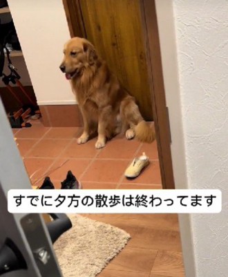 「お散歩足りない!!」