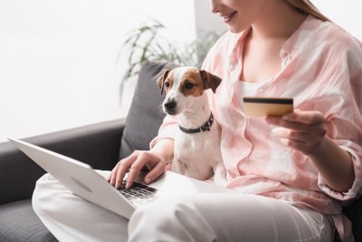 犬を膝に乗せてパソコンを操作する女性