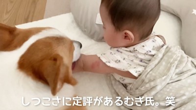 めげずにペロペロ♡