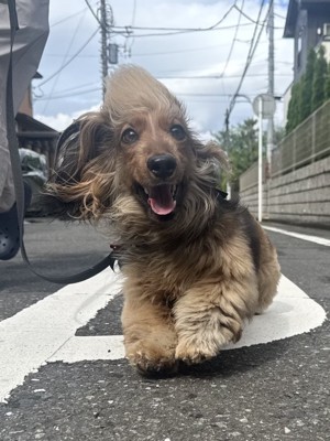 ニコニコ