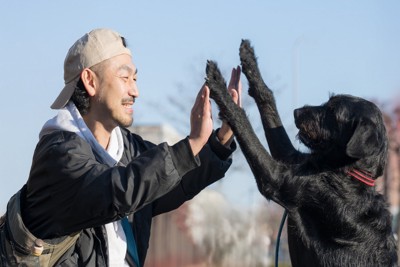 飼い主さんとハイタッチする犬